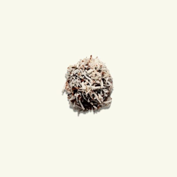 Fruit & Nut Bliss Ball